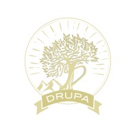 Drupa Srl logo - Similar company to Ping Srl