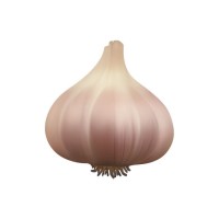 Garlic Labs logo - Similar company to Anilabs