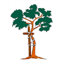 Bayside Medical Missions logo - Similar company to Prototyping Tech