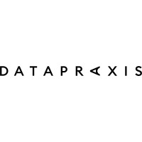 Datapraxis logo - Similar company to Data Praxis