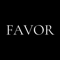 FAVOR Holding logo - Similar company to Insight Luxury
