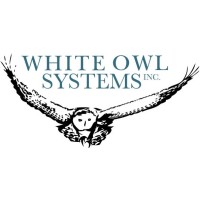 WHITE OWL SYSTEMS INC. logo - Similar company to Akurutheteam