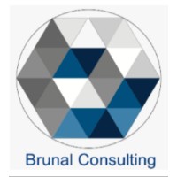 brunal consulting logo - Similar company to Brunel Recruitment Limited