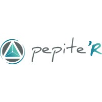 Pepite'R logo - Similar company to Practical Bim