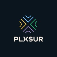 Plxsur logo - Similar company to Pieceful
