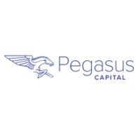 Pegasus Capital logo - Similar company to Cks Finance