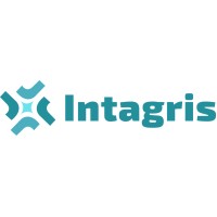 Intagris - FP&A con Power BI logo - Similar company to Bi Design