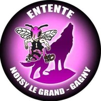 Entente Noisy-Le-Grand Gagny logo - Similar company to Boxing Club