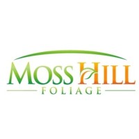 Moss Hill Foliage logo - Similar company to Produmer 🇨🇷