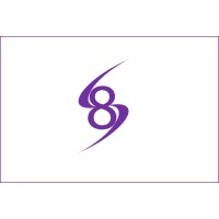 Synergy Solutions Consulting logo - Similar company to Snakebyte Studios Inc.