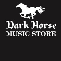 Dark Horse Music Store logo - Similar company to Brothers Guitar Shop