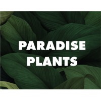 Paradise Plants logo - Similar company to Mustard Presentations