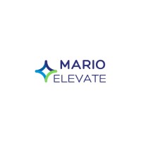 Mario Elevate logo - Similar company to Octopod