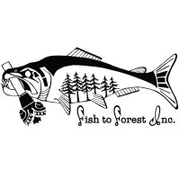 Fish to Forest Inc. logo - Similar company to Obsessed Business Direction & Intelligence Services