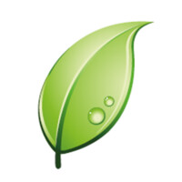 FreshFruitPortal.com logo - Similar company to Smartcherry World
