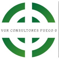 VGR CONSULTORES FUEGO 0 logo - Similar company to Proes - Profund