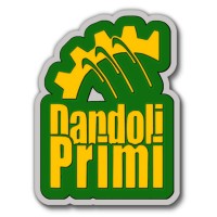DANDOLI PRIMI SYSTEM SL logo - Similar company to Repuestos Fuster