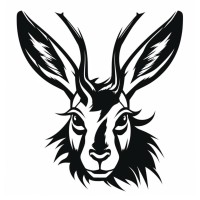 Jackalope Films
