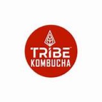 Mountain Tribe Kombucha logo - Similar company to Yellow Spoon