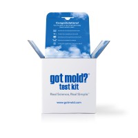 GOT MOLD? logo - Similar company to Xtreme Rc