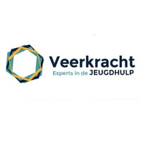 Veerkracht Jeugdhulp logo - Similar company to Beleeflvb