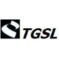 Telemetrics Global Solutions Limited logo - Similar company to Elequip Projects Limited