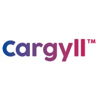 Cargyll Consultants logo - Similar company to Ioda Ltd