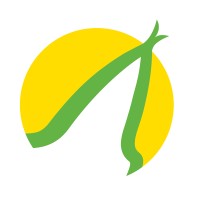 Communicatiebureau de Lynx logo - Similar company to Code Geel Verandercommunicatie & Training