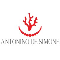 ANTONINO DE SIMONE S.R.L. logo - Similar company to Lebole Maison