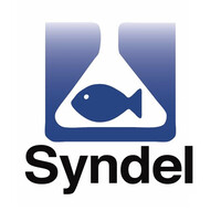 Syndel logo - Similar company to Innotech Process Equipment