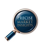Precise Market Insights logo - Similar company to She Sparks
