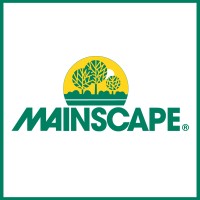 Mainscape logo - Similar company to I