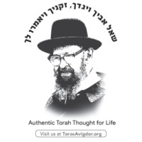 Toras Avigdor logo - Similar company to Dusaw