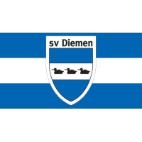sv Diemen logo - Similar company to Meshmess