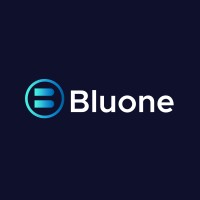 Bluone logo - Similar company to Blue One Solutions