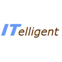 ITelligent Solutions logo - Similar company to Itelligent Usa