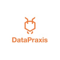 DataPraxis logo - Similar company to Data Praxis