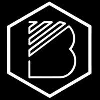Bruckner Engineering GmbH logo - Similar company to Slab Scan