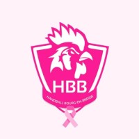 Handball Bourg-en-Bresse logo - Similar company to Fbs Concept - Entreprise Générale Du Bâtiment