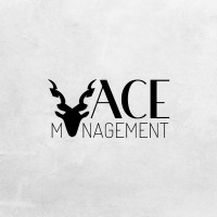 The ACE Management logo - Similar company to Ossha Technologies