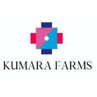 Kumara Farms logo - Similar company to Cannahope