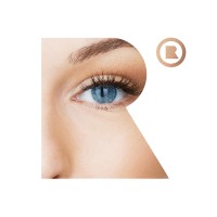 regispranaitis.com logo - Similar company to Creative Agency Kubrik