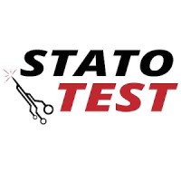 Statotest logo - Similar company to Pointee