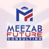 Meezab Future Consulting logo - Similar company to Immiconnect Pathways - Icp