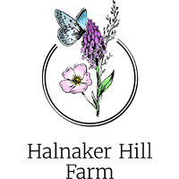 Halnaker Hill logo - Similar company to Radic8 Global
