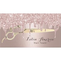 Latin America Hair Team Inc logo - Similar company to Salon Gaboa
