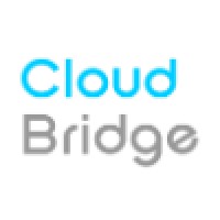 Cloudbridge, Publicaciones Digitales