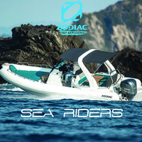 SEA RIDERS GOLFE DE SAINT TROPEZ logo - Similar company to Digital Feline Nomads