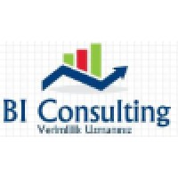 Business Intelligence Consulting logo - Similar company to Business Intelligence Consulting