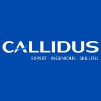 Callidus Staffing Solutions Pvt Ltd logo - Similar company to Chisel Infotech Private Limited